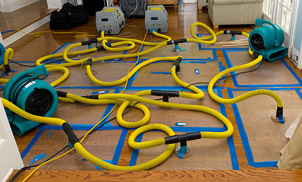 Professional Water Damage Restoration technician working in Norton, KS